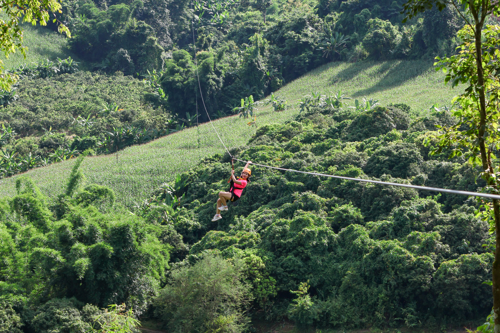 tarzan-world-adventure-zipline (12)
